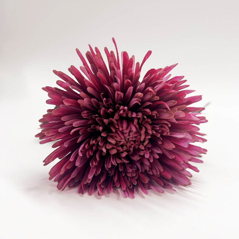 ImPres Chrysanthemum Stem Deep Pink image number 1
